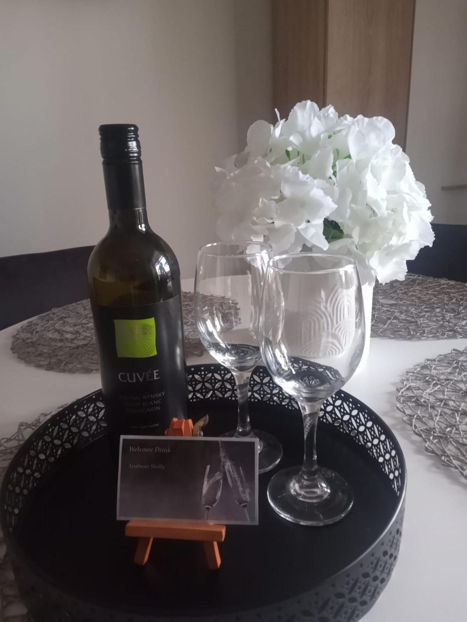 Apartman Shelly Vlachy المظهر الخارجي الصورة